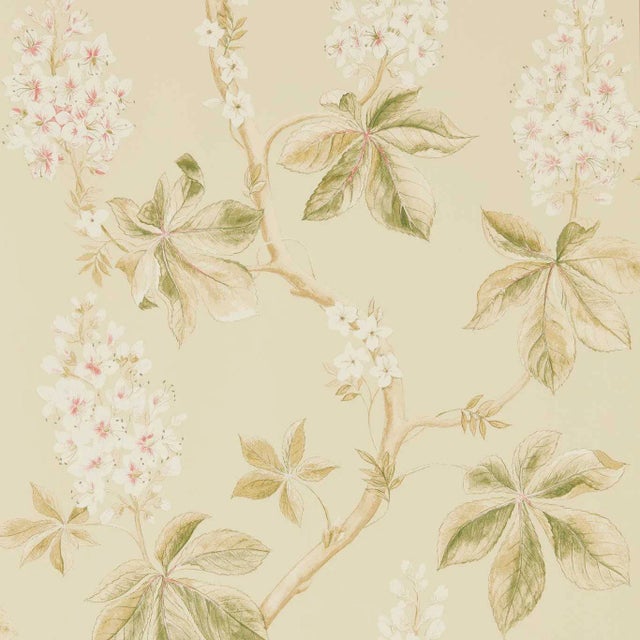 Sanderson Chestnut Tree Wallpaper in Coral/Bayleaf For Sale