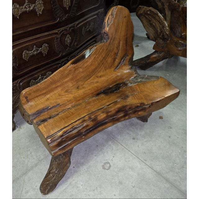 20th Century Bench in Olive Wood and Driftwood, Asia, 1920s For Sale - Image 3 of 9
