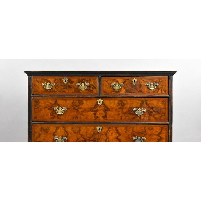 George Iii Burr Walnut Chest of Drawers, 1800 For Sale - Image 6 of 10