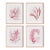 Watercolor Seaweed Prints, Set Of 4 For Sale