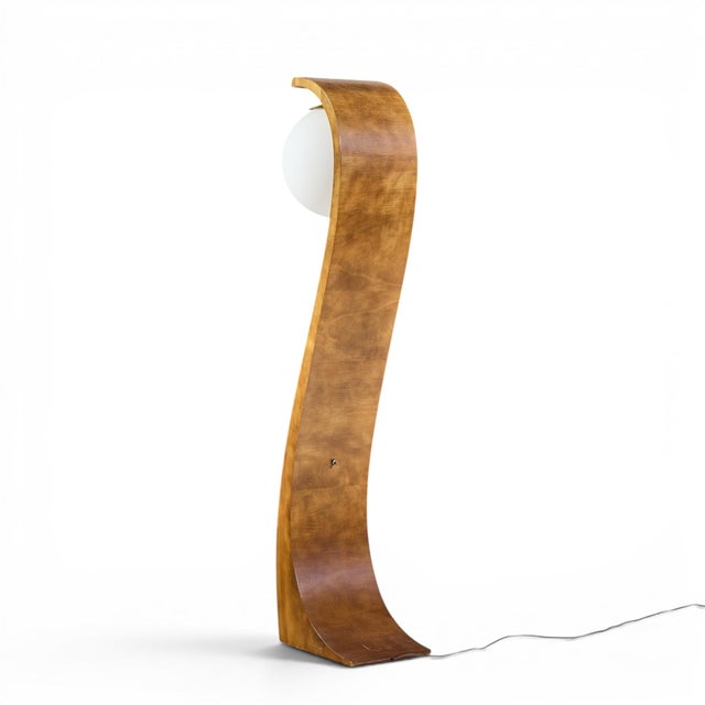 Mid 20th Century Mid 20th Century Jack Haywood for Modeline Mid Century Serpentine Floor Lamp For Sale - Image 5 of 9