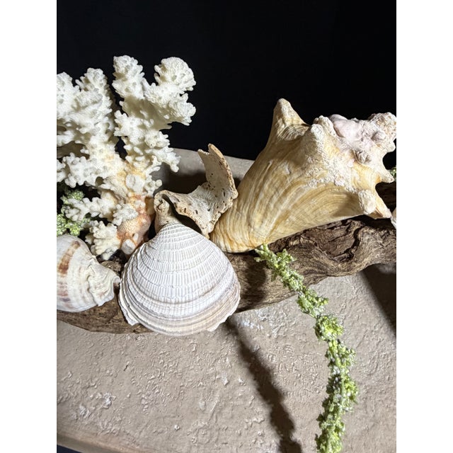 2020s Celestial Meets the Sea Driftwood Sculpture For Sale - Image 5 of 8