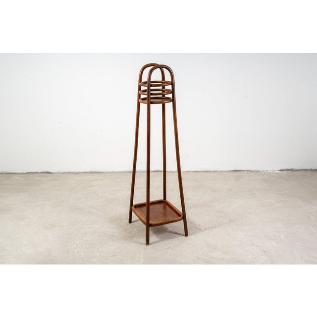 Beech Pedestal from Jacob & Josef Kohn, 1890s For Sale - Image 6 of 16