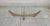 Wood Adrian Pearsall Sculptural "Stingray" Coffee Table #2399-Tc For Sale - Image 7 of 13