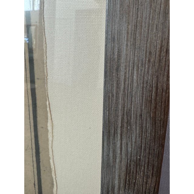 French Oversized 18th Century French Copperplate Engraving of Sea Turtle – Natural History Plate For Sale - Image 3 of 9