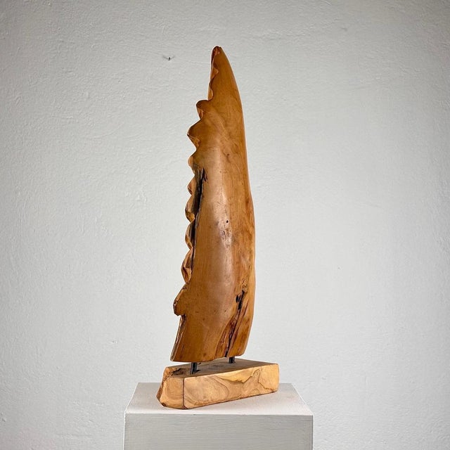 1960s Italian Phytomorphic Abstract Sculpture in Natural Ash, 1960s For Sale - Image 5 of 18