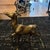 1950s Mid-Century Modern Brass Deer - a Pair For Sale - Image 11 of 12