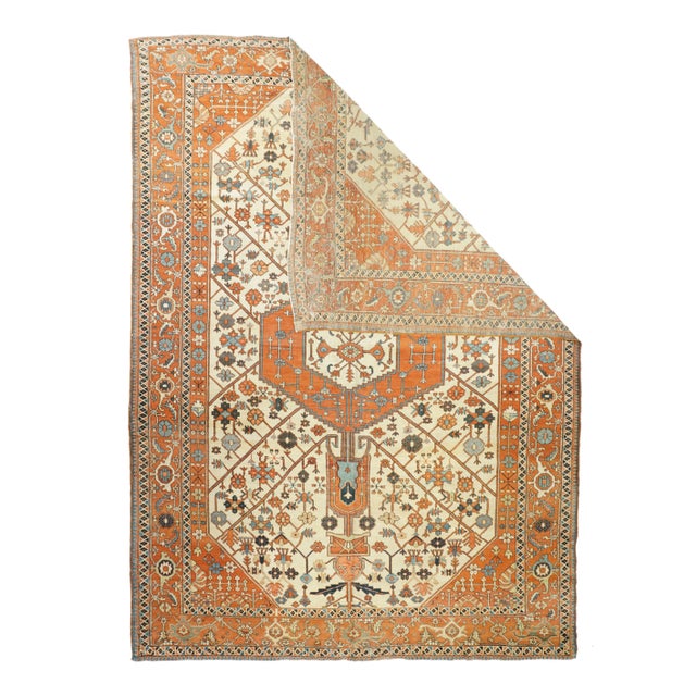 Antique Bakhshayesh Rug 9'3'' x 13'0''