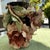 French Edourd Gilles Majolica Vase- Large For Sale - Image 3 of 12