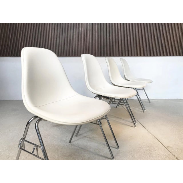 Herman Miller DSS Chair by Charles & Ray Eames for Herman Miller, 1950s, Set of 4 For Sale - Image 4 of 18