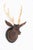 An unusual Black Forest style carved stag's head, realistically sculpted with finely detailed features, expressive glass...
