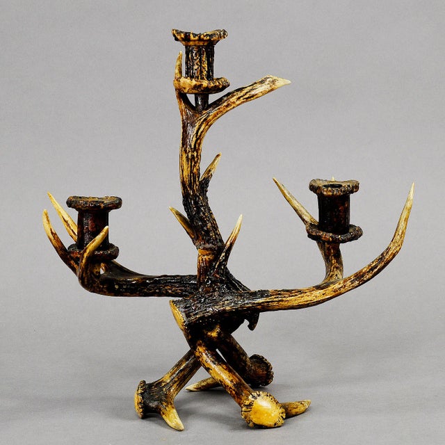 Decorative Antique Antler Candelabra With Three Spouts 1900 For Sale - Image 4 of 5