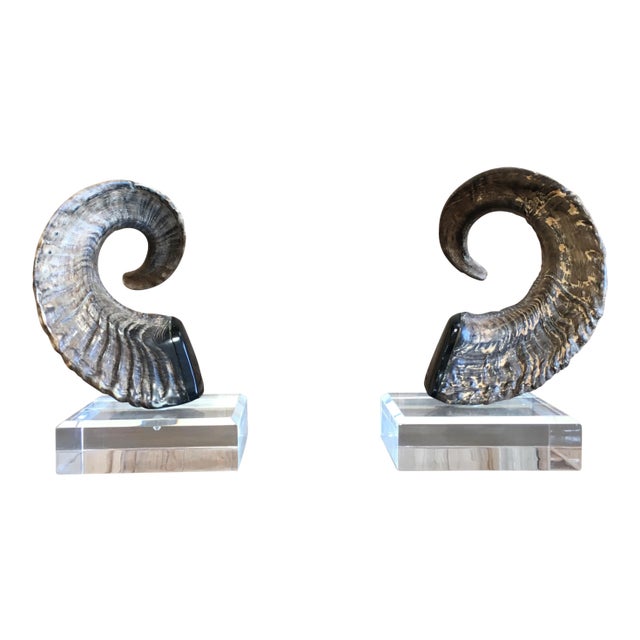 Late 20th Century Faux Ram Horns - a Pair For Sale