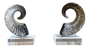 Late 20th Century Faux Ram Horns - a Pair