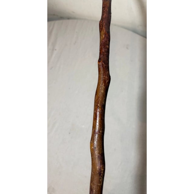 Antique 19th Century Hand Carved Wood Folk Art Alligator Walking Stick Cane For Sale - Image 10 of 14