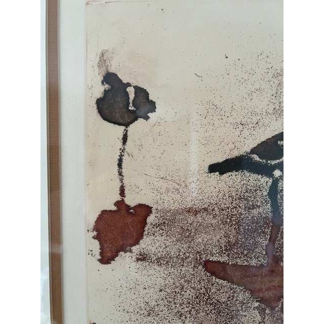 1970s 1977 "Sandpiper" Maidy Morhous (Signed), Etching With Aquatint on Paper, Limited Edition 2/150 For Sale - Image 5 of 11