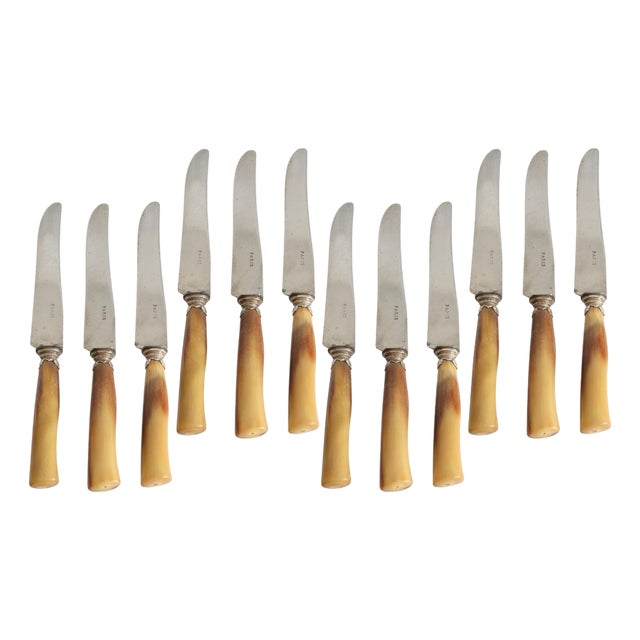 Late 19th Century French Natural Stag Horn Large Dinner Knives, Set of 12 For Sale