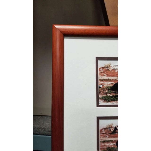 Wood Hawaiian Nature Photographic Silver Print Set Titled "Mea'ai" by Michael Lemes For Sale - Image 7 of 8