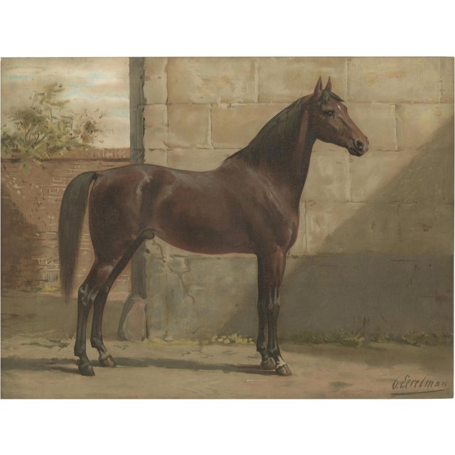 After Eerelman, East Prussian Trakehner Horse Portrait, 1898, Lithograph For Sale