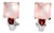 Late 20th Century Pair of 14K White Gold Rose Quartz Garnet Heart Diamond Earrings For Sale