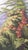 Chinoiserie Panoramic Hand‑Painted Wall Panel, Tropical Mountain Landscape Mural For Sale - Image 3 of 3
