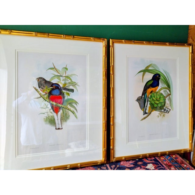 These are a must see in person. Purchased in Sturbridge MA from Anne Hall Antique Prints shop in the 90's. Beautifully...