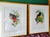 These are a must see in person. Purchased in Sturbridge MA from Anne Hall Antique Prints shop in the 90's. Beautifully...