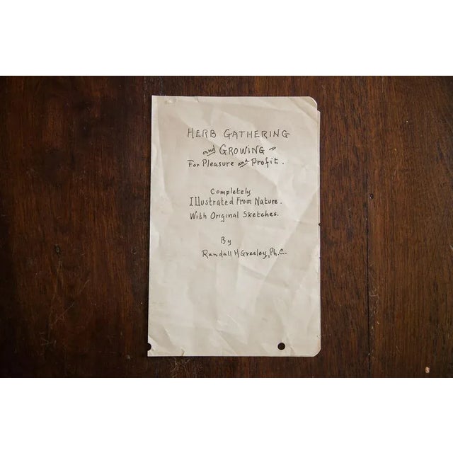 R.H. Greeley Indian Tobacco Botanical Watercolor For Sale - Image 5 of 5