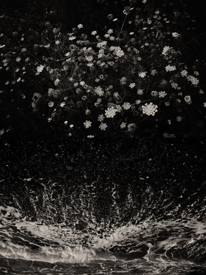 Jaume Llorens Bach, Gaia Diptych #98, Monochrome Photographic Print