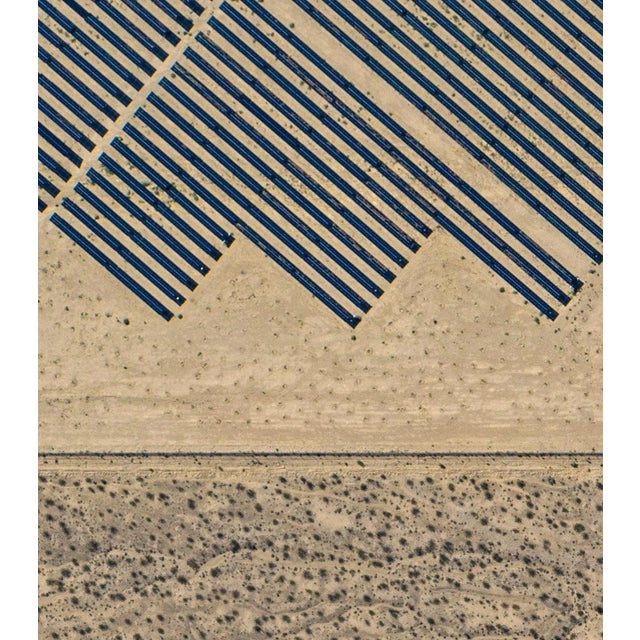"AV_Solar_Plants_008" Contemporary Limited Edition Fine Art Photograph by Bernhard Lang For Sale - Image 6 of 7