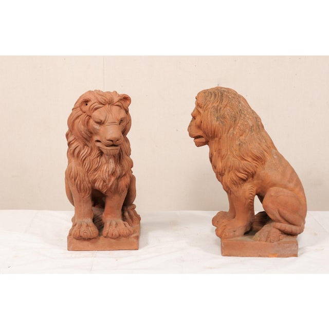 Terra Cotta Mid 20th Century Pair of French Snarling Lions, 2 Ft Tall For Sale - Image 8 of 10