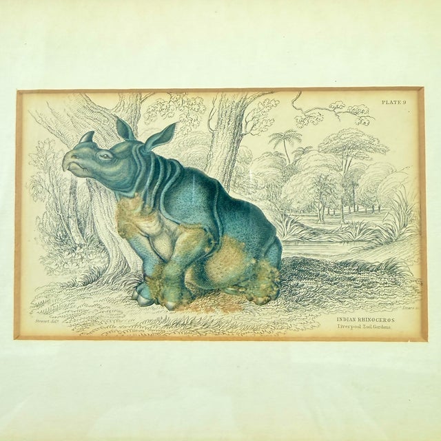 Wood James Stewart Indian Rhinoceros Hand Colored Copper Engraving, Framed – 1836 For Sale - Image 7 of 11