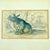 Wood James Stewart Indian Rhinoceros Hand Colored Copper Engraving, Framed – 1836 For Sale - Image 7 of 11