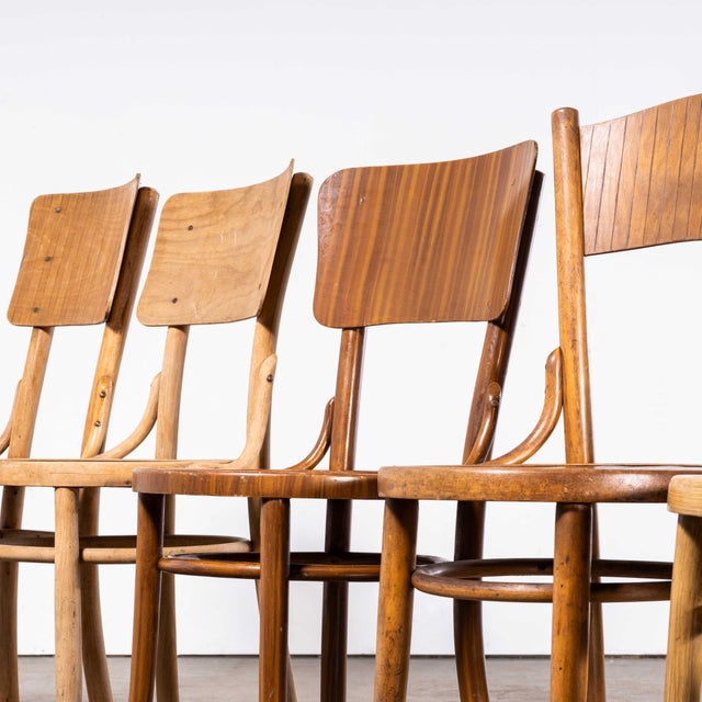 1940s Bentwood Debrecen Panel Back Dining Chairs, 1940s, Set of 6 For Sale - Image 5 of 18