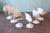 Early Tulip Chairs by Eero Saarinen for Knoll Tulip Chair Set of 6 1960s For Sale - Image 11 of 14