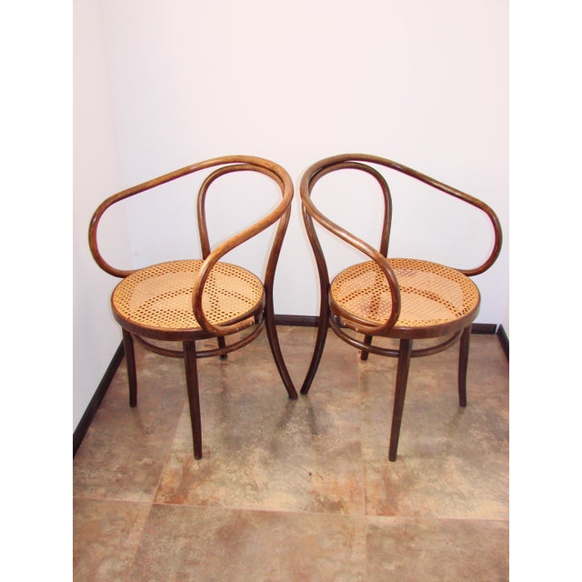 B9/209 Armchairs No. 209 by Radomsko for Thonet, 1960s, Set of 2 For Sale - Image 6 of 10