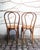 Cane and Bentwood Chairs, 1960s, Set of 2 For Sale - Image 6 of 8
