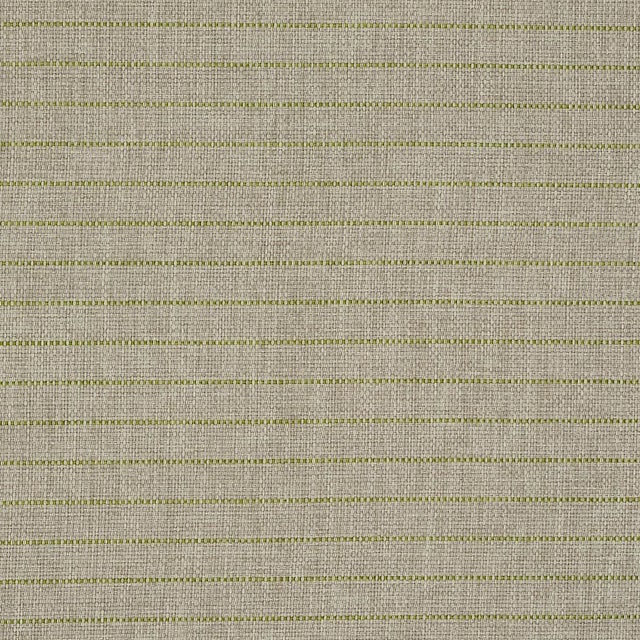 Transitional Sample - Schumacher Manning Stripe Indoor/Outdoor Fabric in Lime For Sale - Image 3 of 3