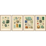Antique Gemstone Prints with Blue and Green Minerals from Bauer, 1900s, Set of 4 For Sale