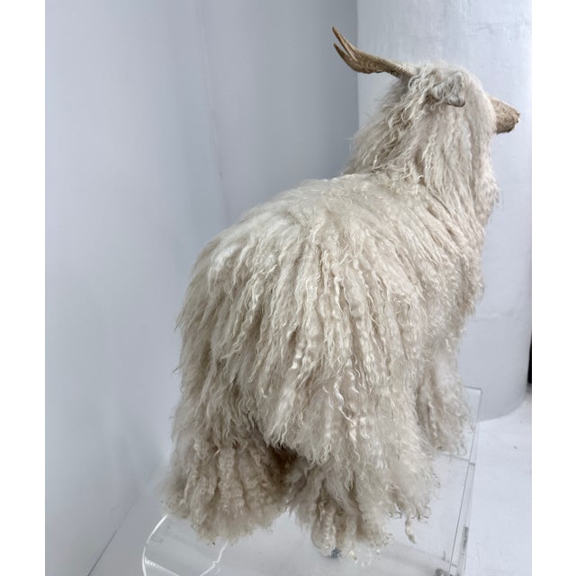 Sheep Sculpture, Handcrafted by New Mexico Artist Ray Growler For Sale - Image 11 of 14