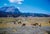 A Pack Trip In Wyoming by Toni Frissell Holiday makers at a Wyoming dude ranch enjoy a pack trip across a spectacular...