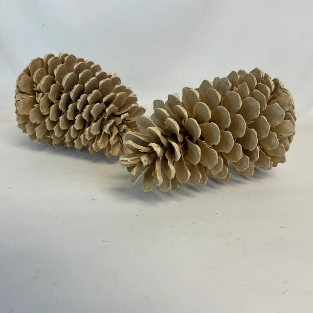 Wood Vintage Arts & Crafts Farmhouse Americana Bleached Pinecones - A Pair, Thanksgiving For Sale - Image 7 of 11