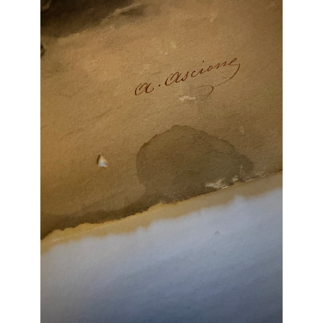 Original 16th/17th Century Watercolor Painting by Aniello Ascione Unframed For Sale - Image 10 of 12