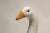 Italian Mid 20th Century Ceramic Italian Goose For Sale - Image 3 of 10