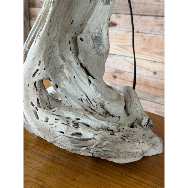 Wood Monumental Sculptural Driftwood Table Lamp, Organic Modern Coastal Decor For Sale - Image 7 of 12