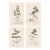 Set of Four Antique Hand-Colored Botanical Prints by the Sowerby Family – English Botany Series (C. 19th Century) Set A For Sale