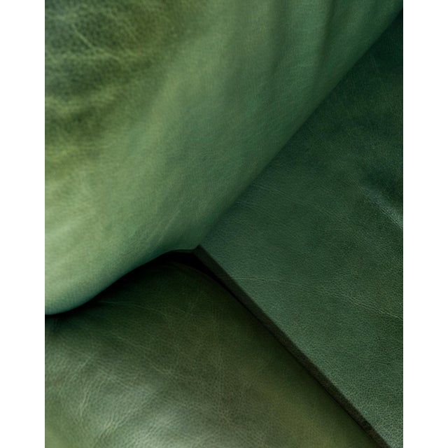 Animal Skin Vintage DS-90 Lounge Chair from de Sede, 1990s For Sale - Image 7 of 9