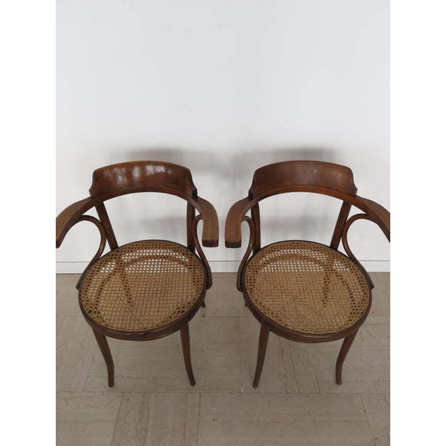 1930s Vintage Chairs by Michael Thonet for Thonet, 1930s, Set of 6 For Sale - Image 5 of 18
