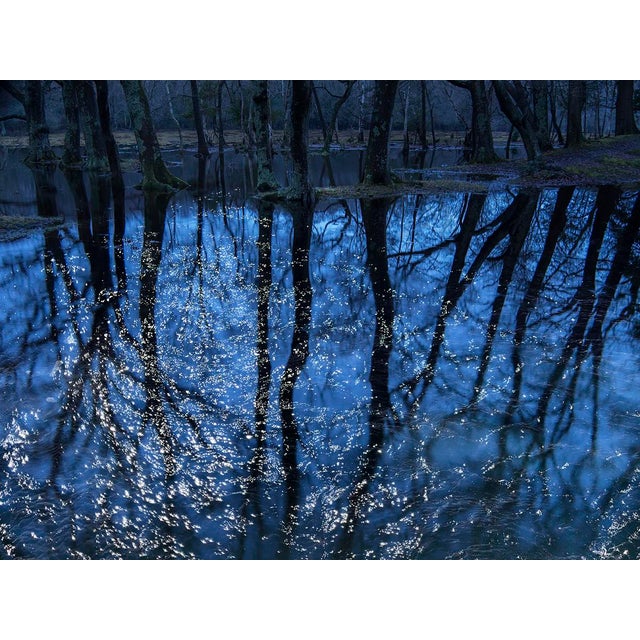 Seascapes 7 is a stunning Digital C-Type Print on Fuji Maxima Matte Paper available in this size of 90cm x 120cm. This is...