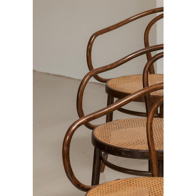 Brown Model 209 Dining Chairs from Thonet, 1960s, Set of 6 For Sale - Image 8 of 13